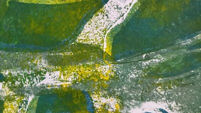 Krims-Kramswerkstatt